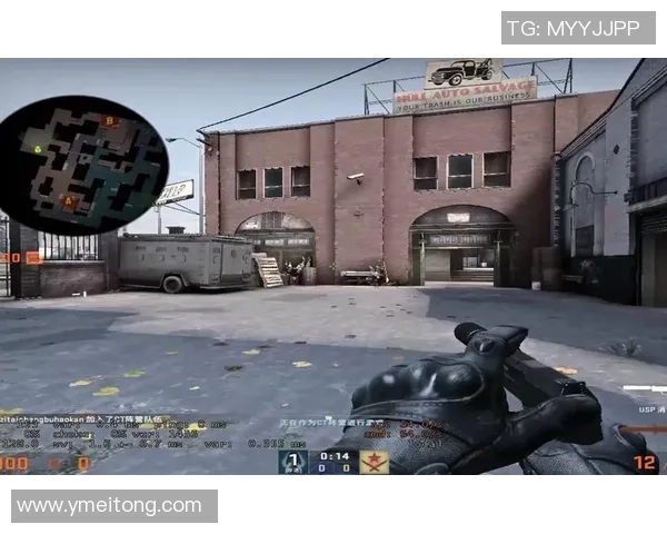 杨芳专访：从新手到高手的CSGO成长之路与心路历程分享